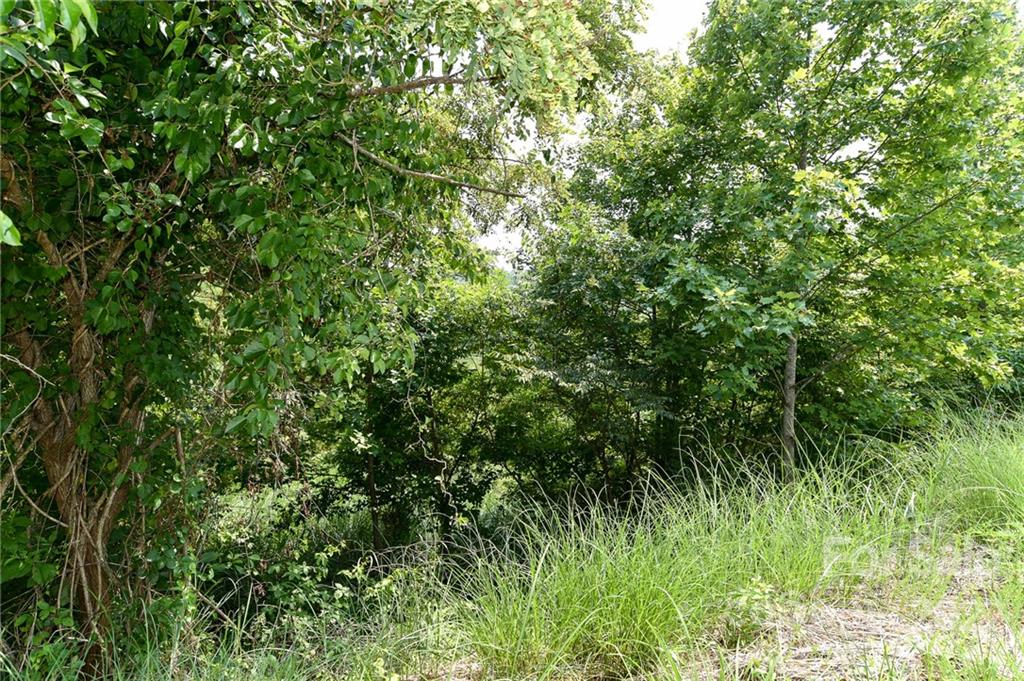 Lot 9 The Vines Boulevard Lot 9 Property Photo 2