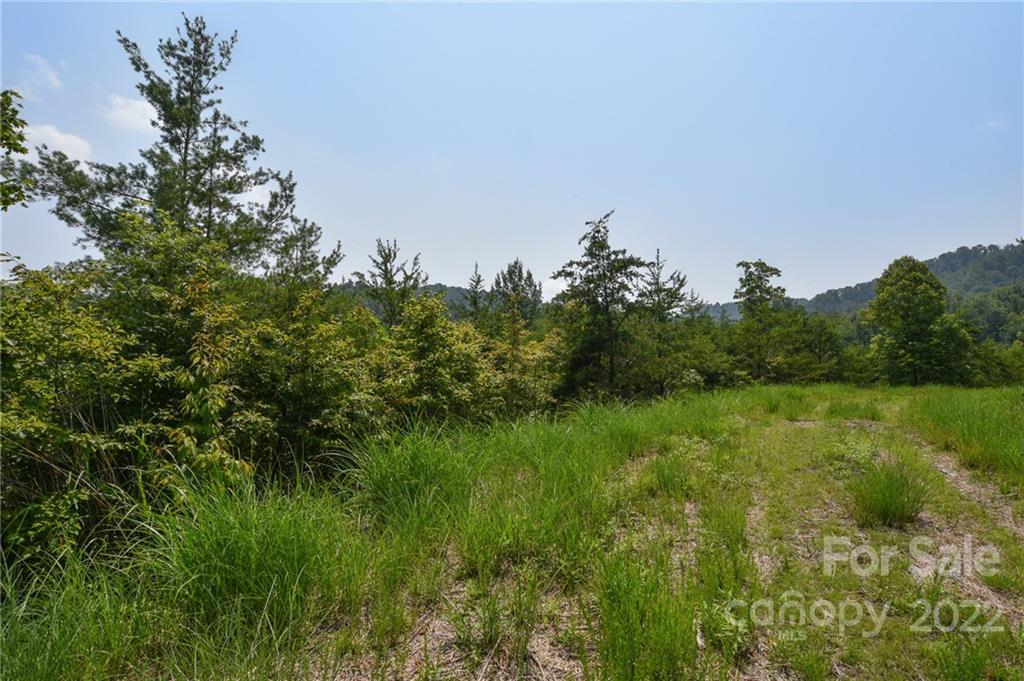 113 Chardonnay Avenue 10 Property Photo 1