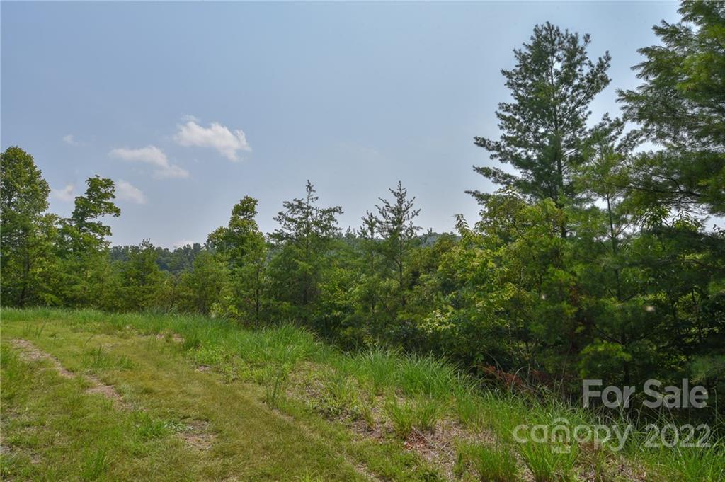 Lot 11 The Vines Boulevard Lot 11 Property Photo 1