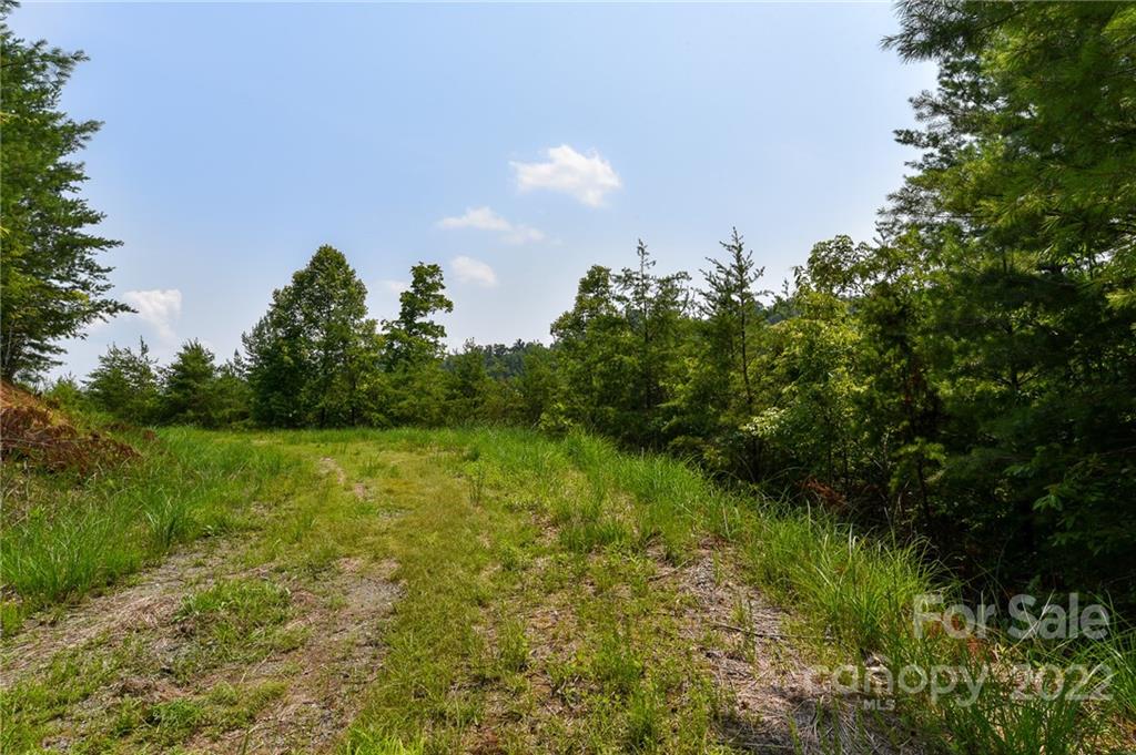 Lot 11 The Vines Boulevard Lot 11 Property Photo 2