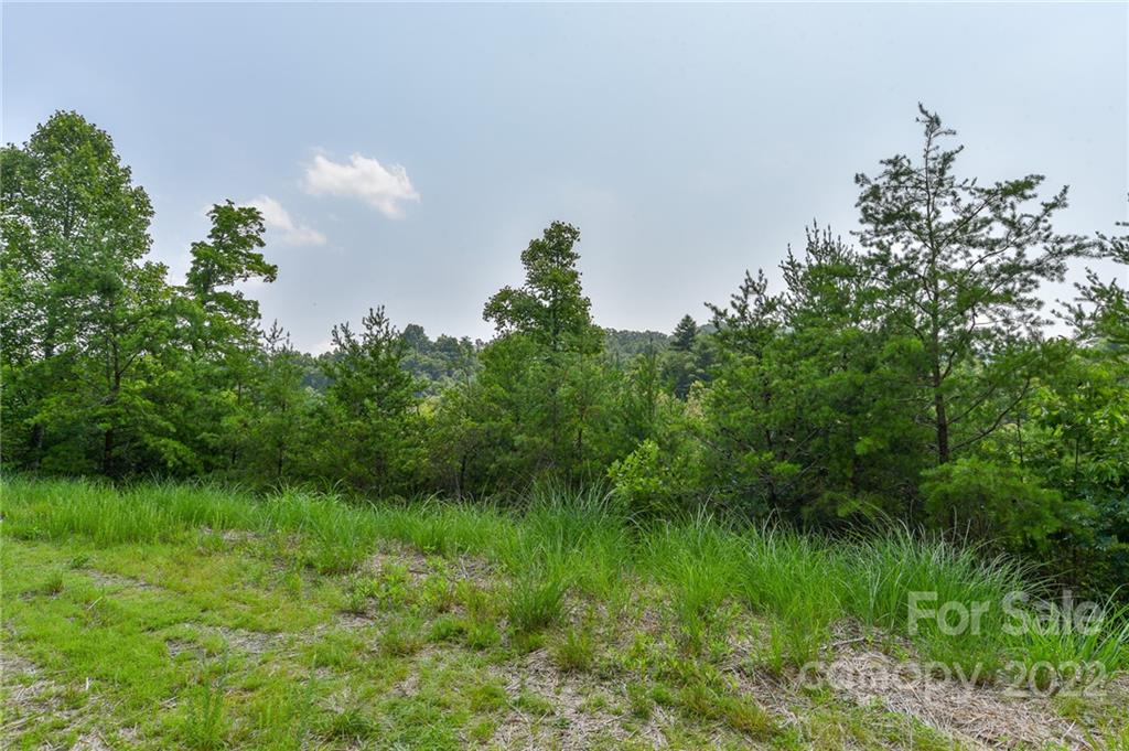 Lot 11 The Vines Boulevard Lot 11 Property Photo 3