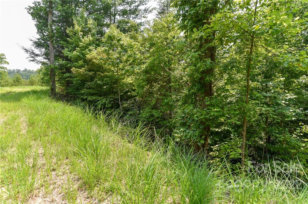Lot 12 The Vines Boulevard Lot 12 Property Photo 1