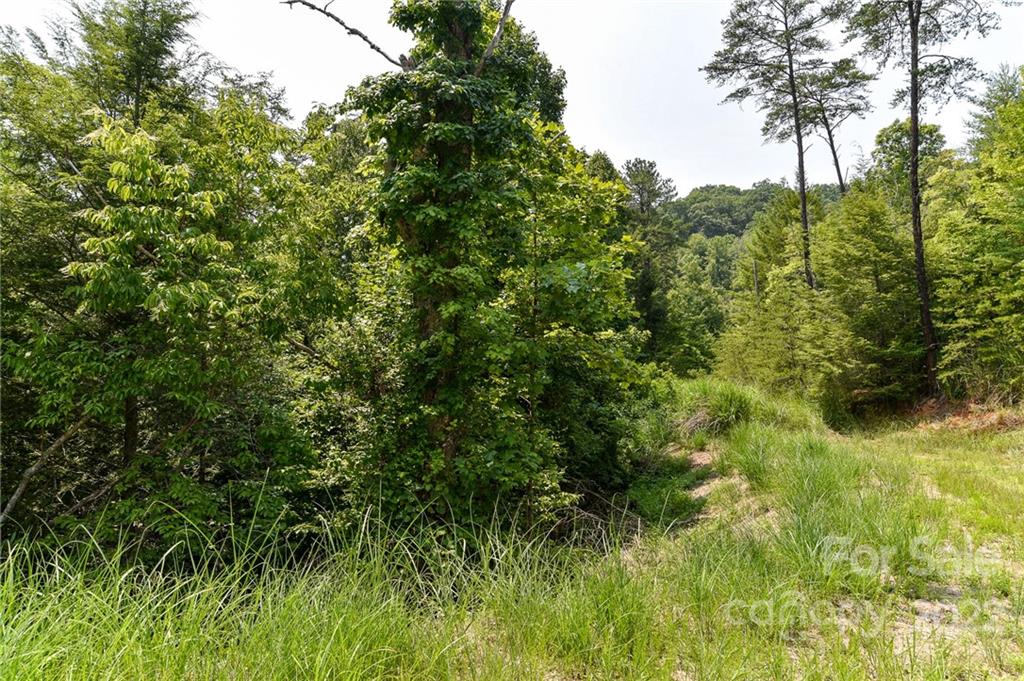 Lot 12 The Vines Boulevard Lot 12 Property Photo 2