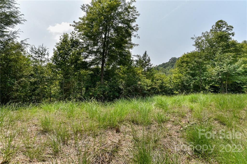 441 The Vines Boulevard 15 Property Photo 1