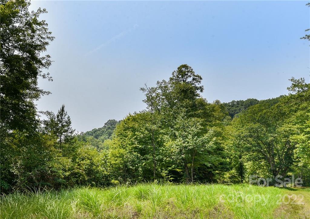 441 The Vines Boulevard 15 Property Photo 2