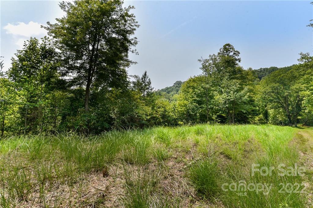 441 The Vines Boulevard 15 Property Photo 3