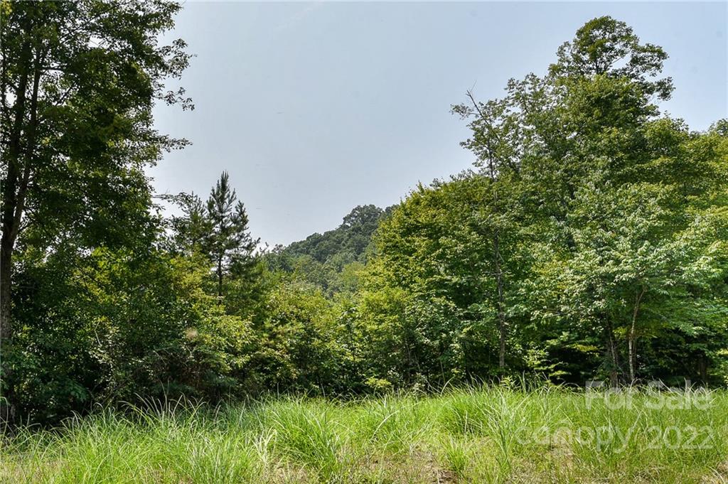 441 The Vines Boulevard 15 Property Photo 4
