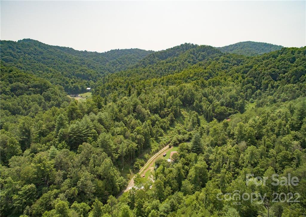 441 The Vines Boulevard 15 Property Photo 8