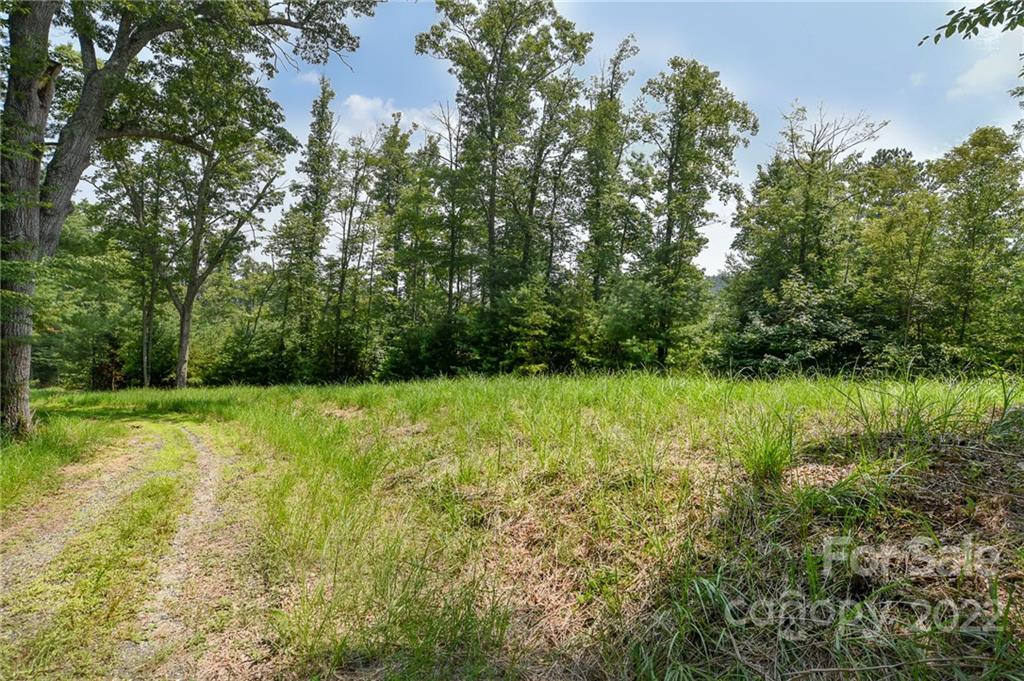 301 The Vines Boulevard 20 Property Photo 1