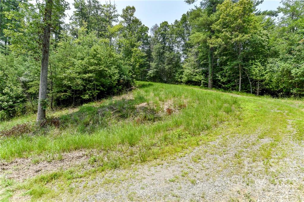 301 The Vines Boulevard 20 Property Photo 2