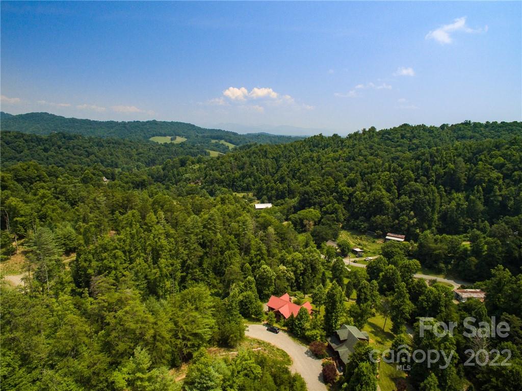 301 The Vines Boulevard 20 Property Photo 6