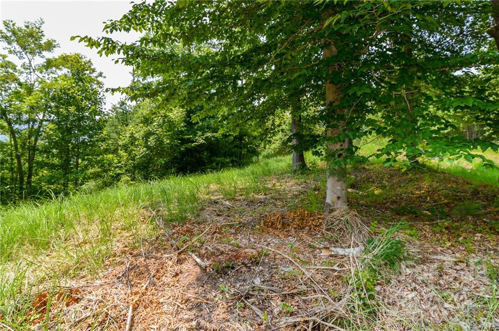 319 The Vines Boulevard 21 Property Photo 2