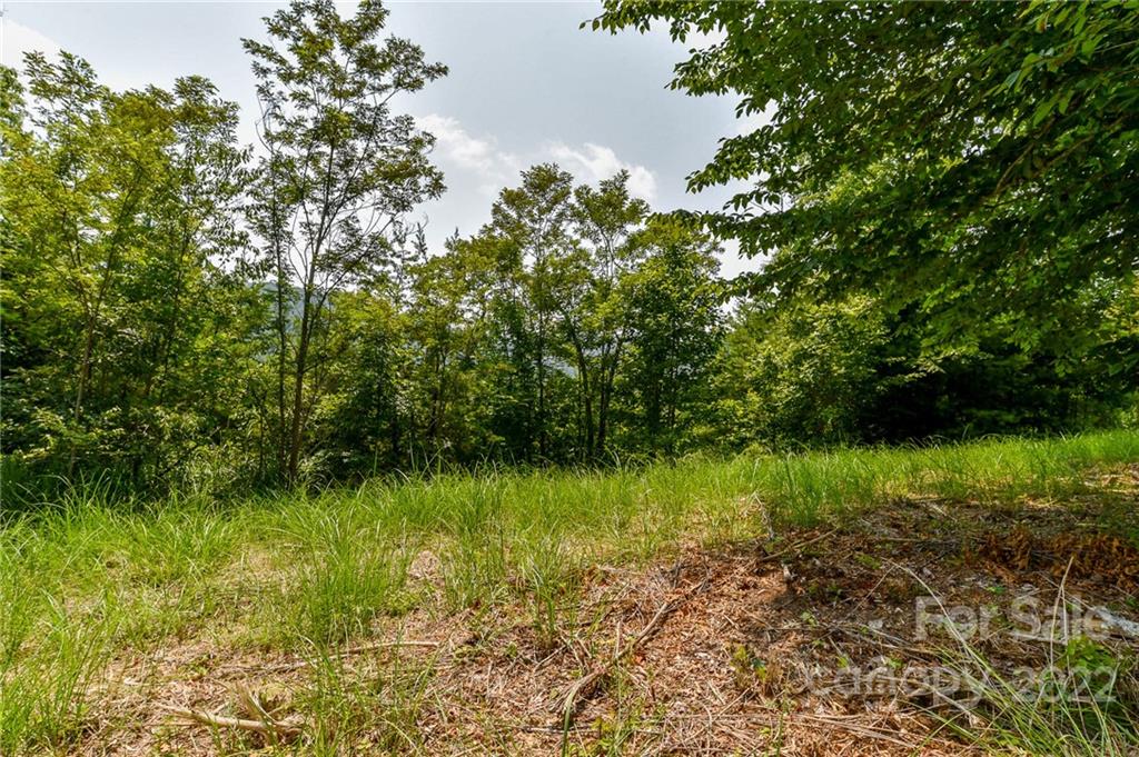 319 The Vines Boulevard 21 Property Photo 3