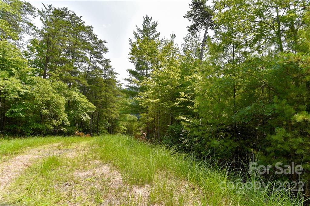 Lot 22 The Vines Boulevard Lot 22 Property Photo 1