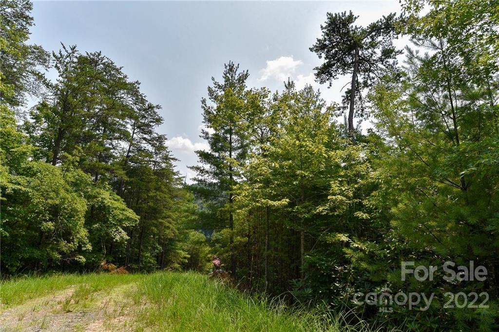 Lot 22 The Vines Boulevard Lot 22 Property Photo 2