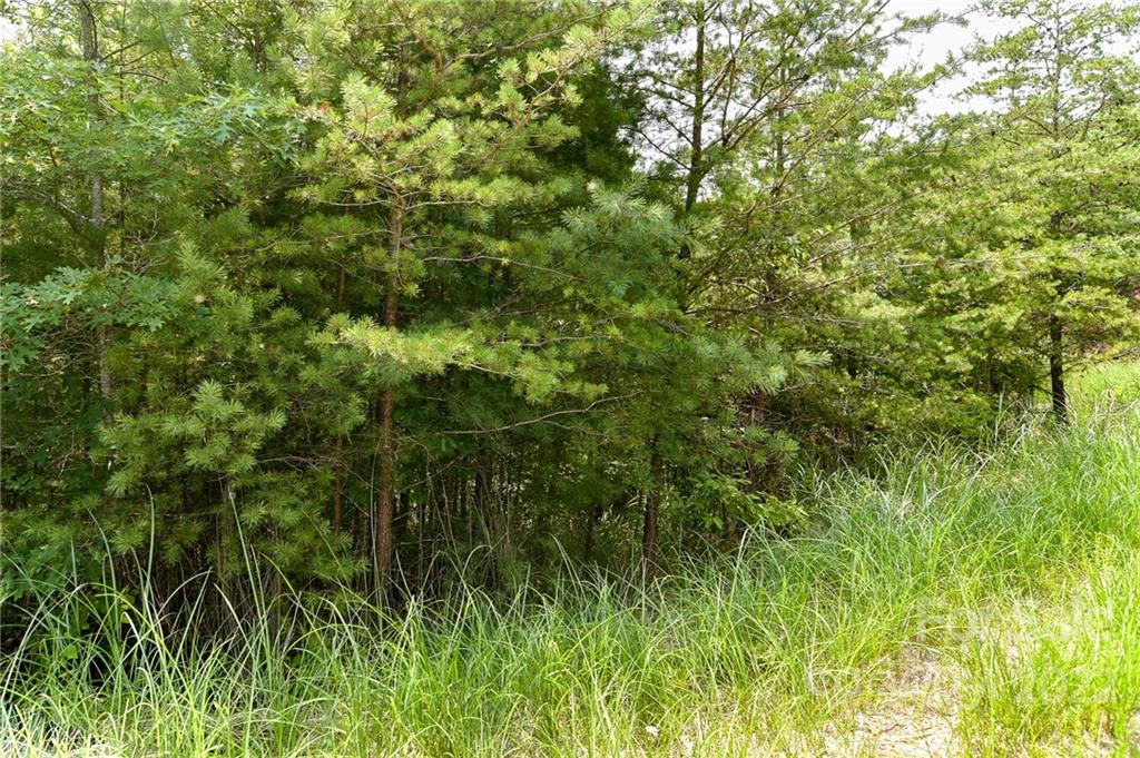 Lot 22 The Vines Boulevard Lot 22 Property Photo 3