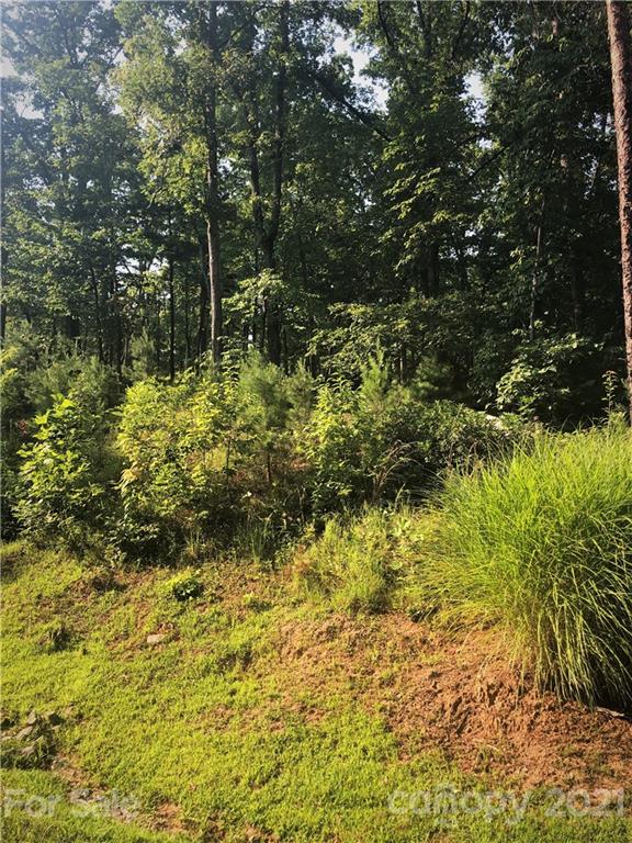 0 Lure Ridge Drive 26 Property Photo 5