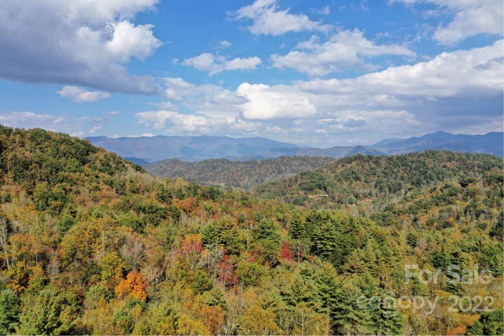 Lot64 Mountain Forest Estates Road Property Photo 4