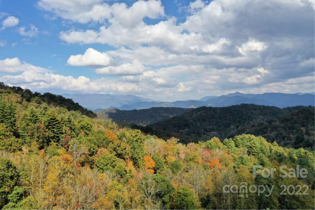 Lot64 Mountain Forest Estates Road Property Photo 5