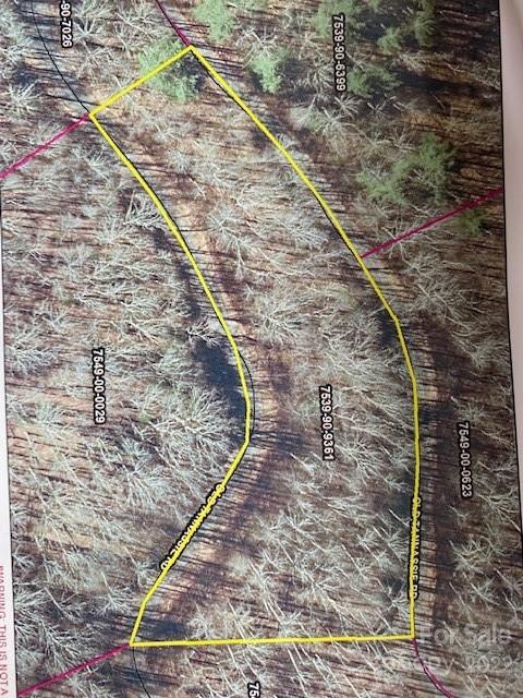 Lot 48 Mountain Forest Estates Road Property Photo 1