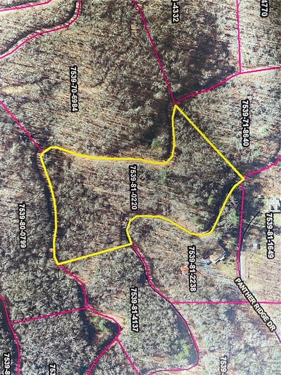 Lot 68 Mountain Forest Estates Road Property Photo 1