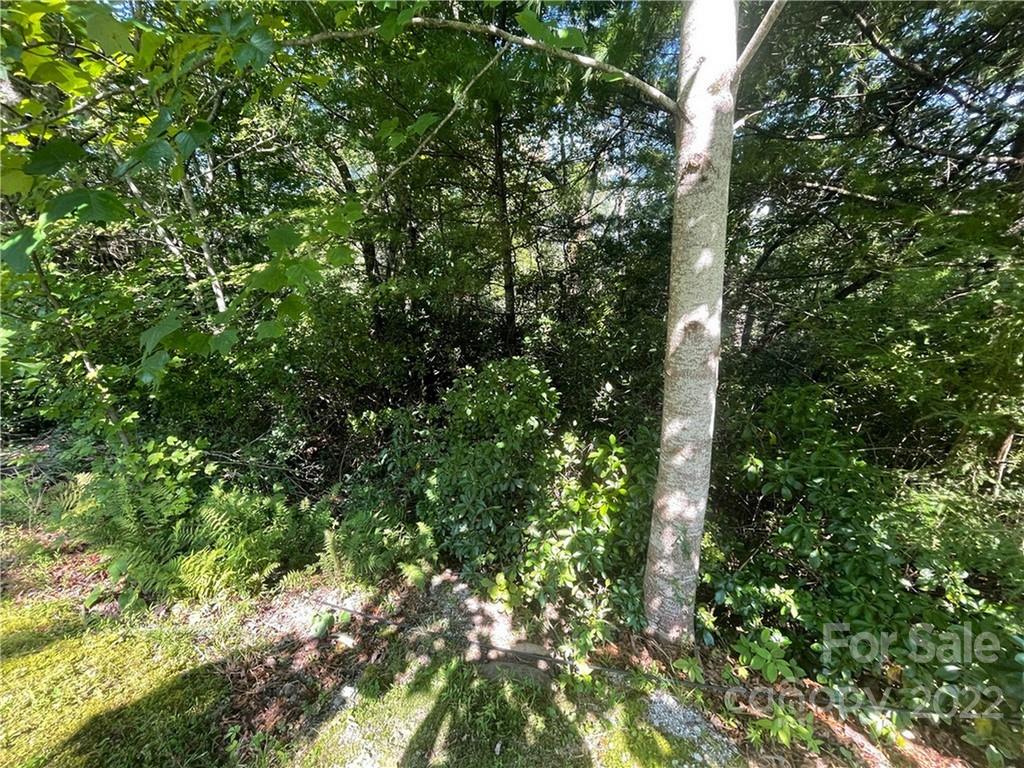 99999 Pine Mountain Trail M37 Property Photo 3