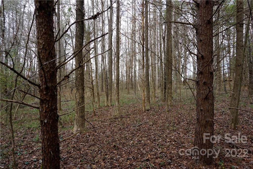 9 Ac Burree Road Property Photo 2