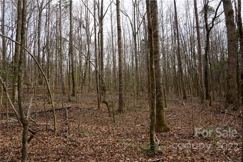 9 Ac Burree Road Property Photo 3