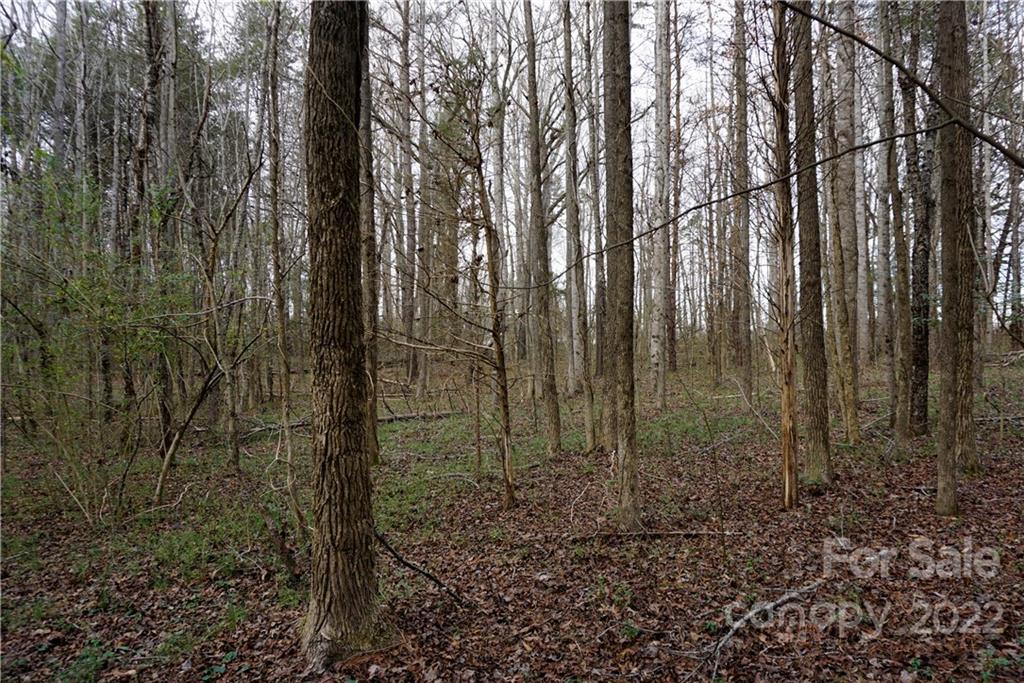 9 Ac Burree Road Property Photo 4