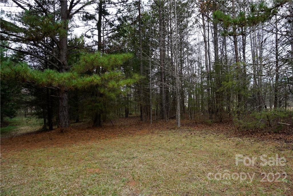 9 Ac Burree Road Property Photo 6