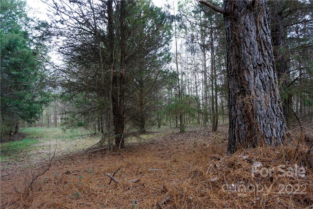 9 Ac Burree Road Property Photo 7