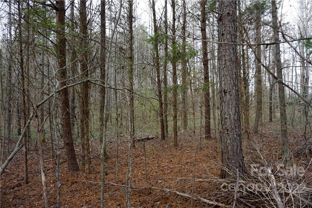 9 Ac Burree Road Property Photo 9