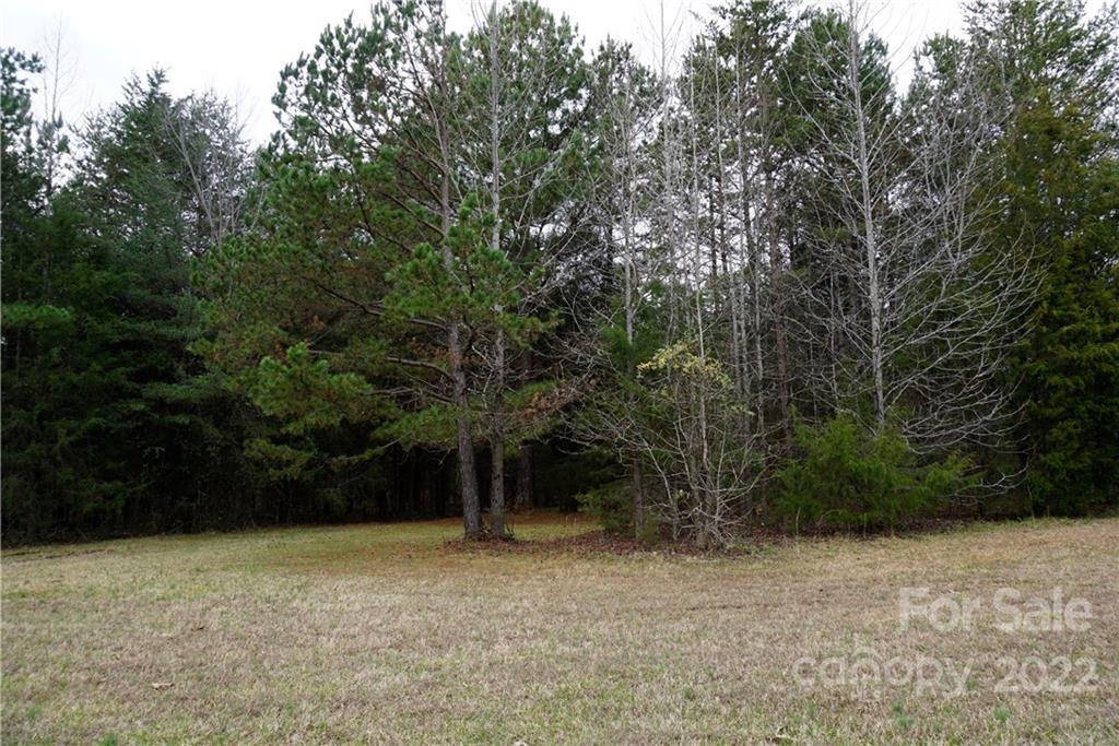 9 Ac Burree Road Property Photo 10