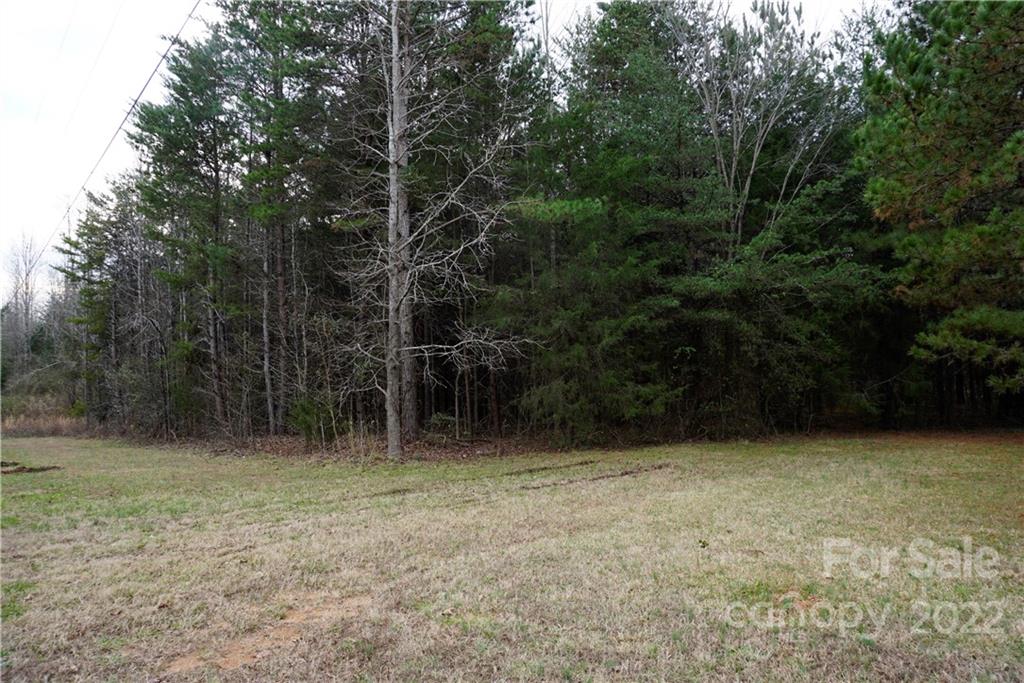 9 Ac Burree Road Property Photo 11