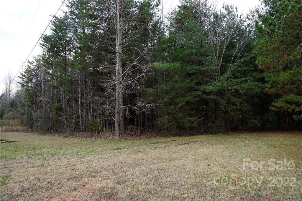 9 Ac Burree Road Property Photo 12