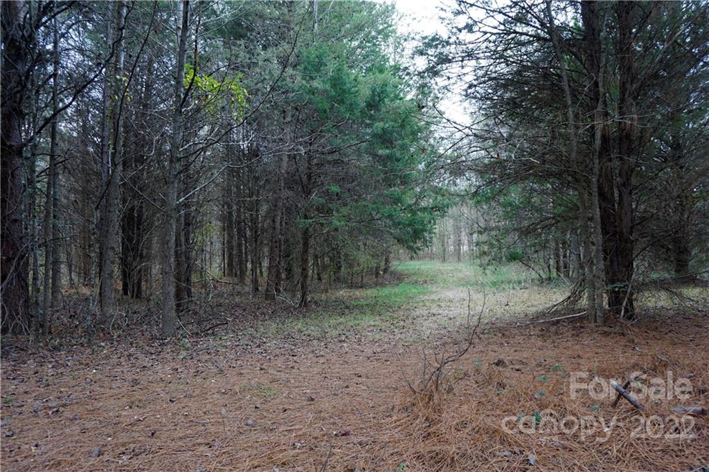 9 Ac Burree Road Property Photo 13