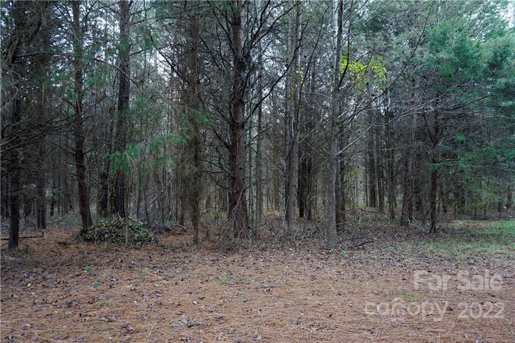 9 Ac Burree Road Property Photo 14