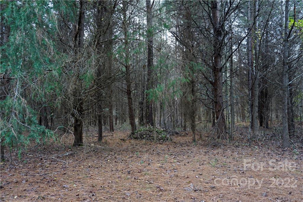 9 Ac Burree Road Property Photo 15