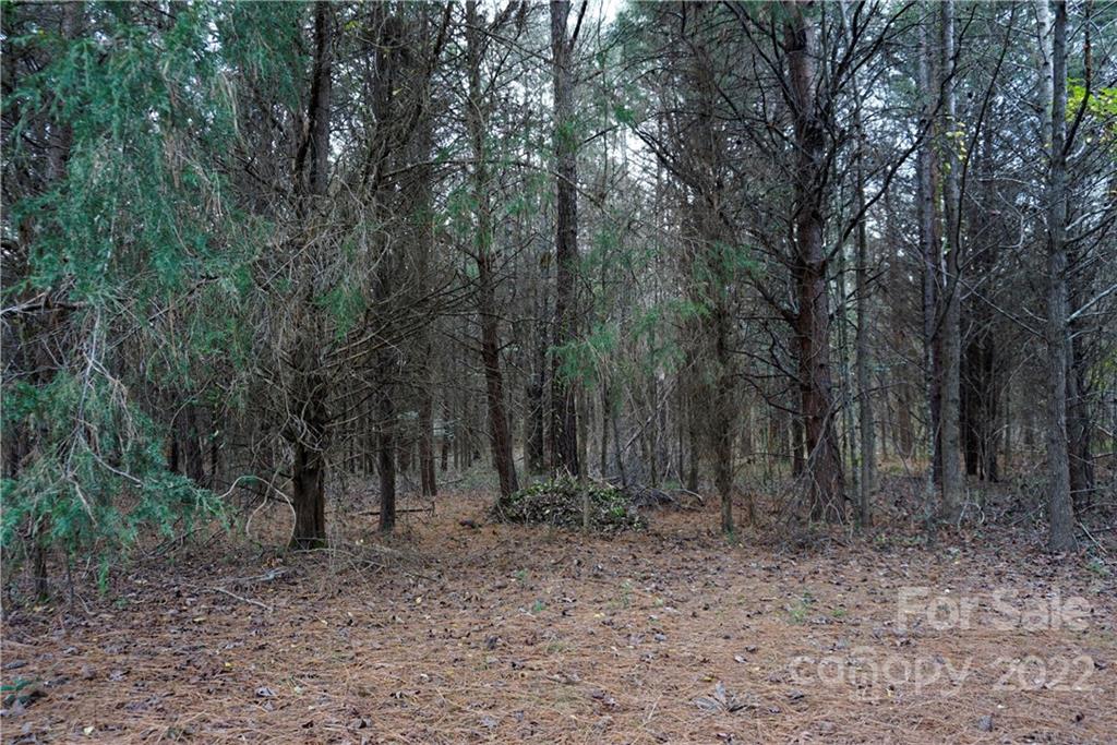 9 Ac Burree Road Property Photo 16