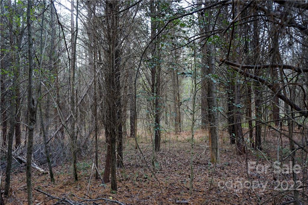 9 Ac Burree Road Property Photo 17