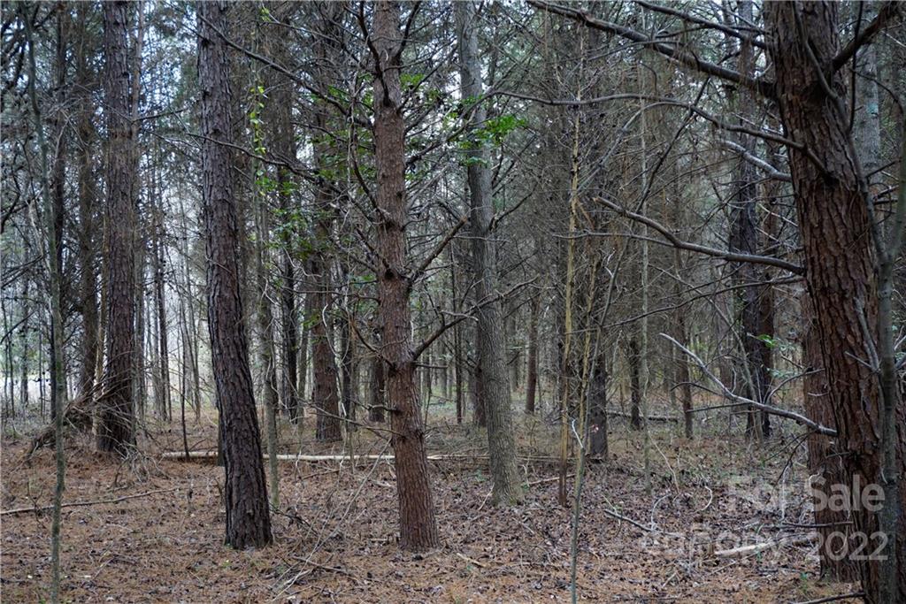 9 Ac Burree Road Property Photo 18