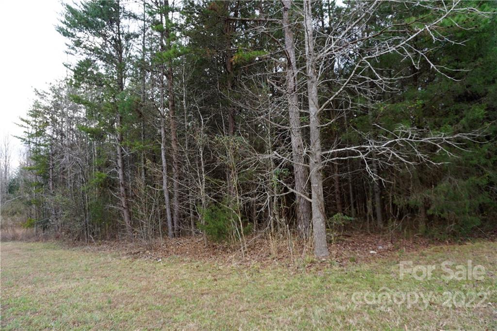 9 Ac Burree Road Property Photo 19