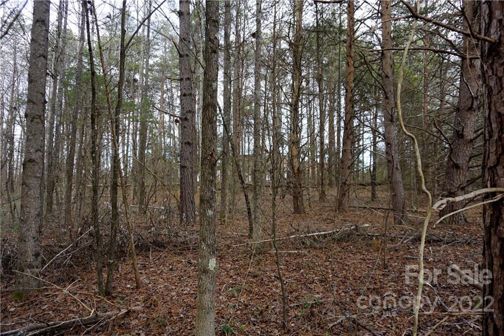 9 Ac Burree Road Property Photo 20