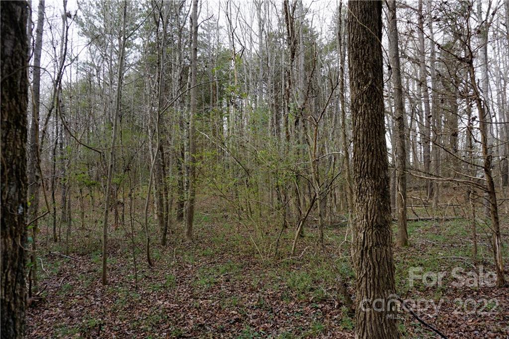 9 Ac Burree Road Property Photo 21