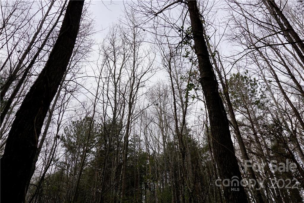 9 Ac Burree Road Property Photo 22
