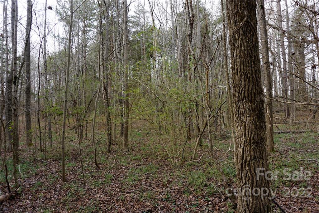 9 Ac Burree Road Property Photo 23
