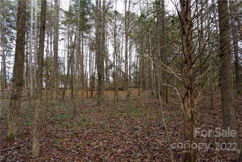9 Ac Burree Road Property Photo 24