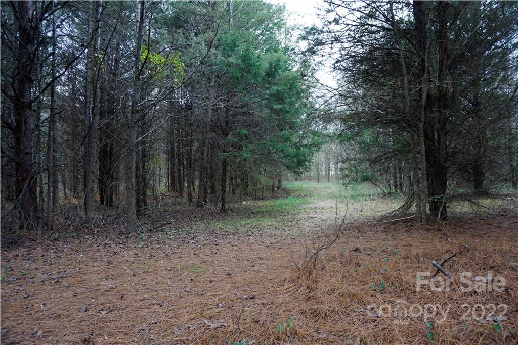 9 Ac Burree Road Property Photo 25
