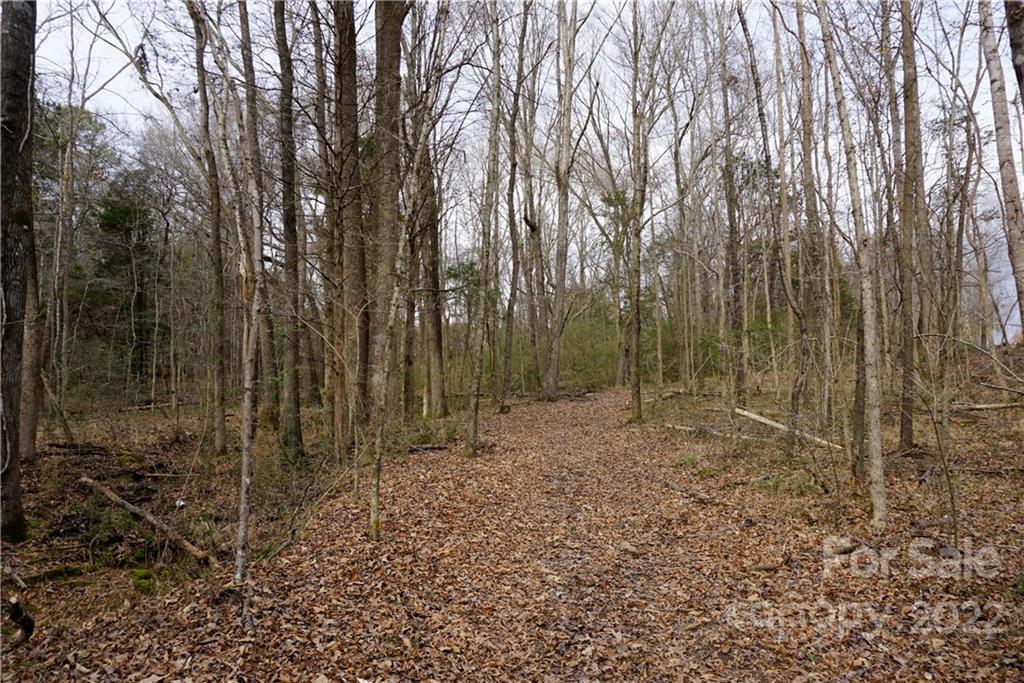 9 Ac Burree Road Property Photo 27