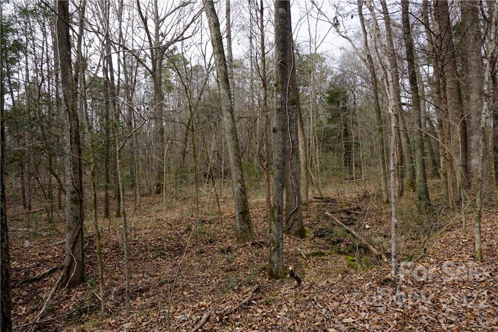 9 Ac Burree Road Property Photo 28
